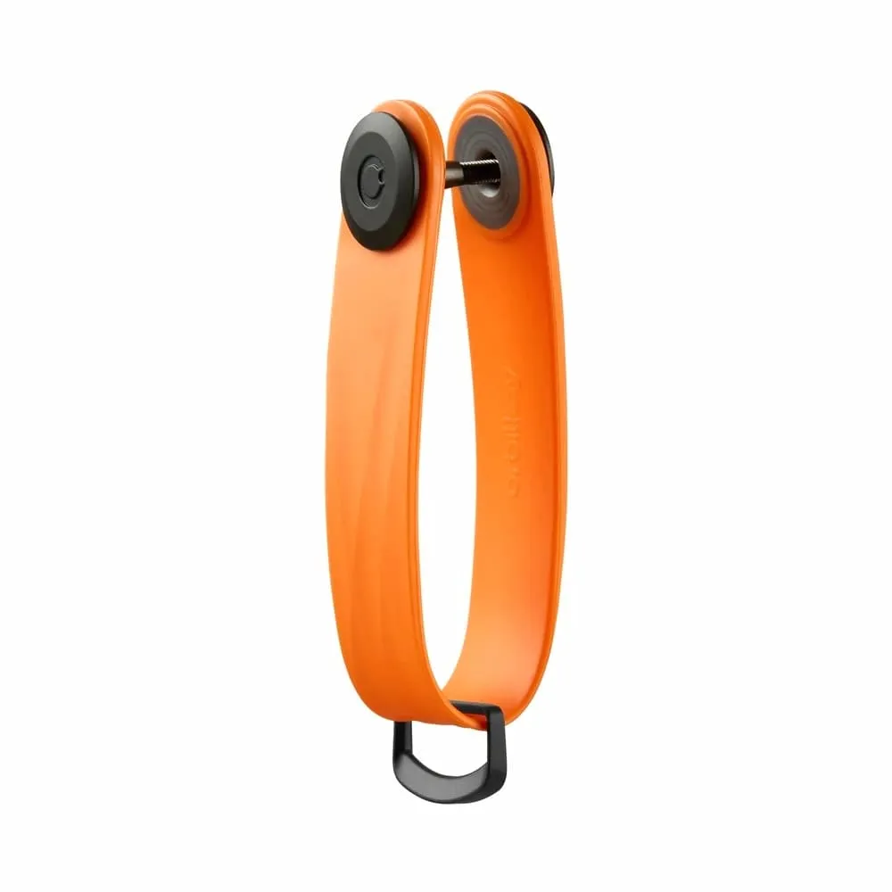 Active Key Organizer