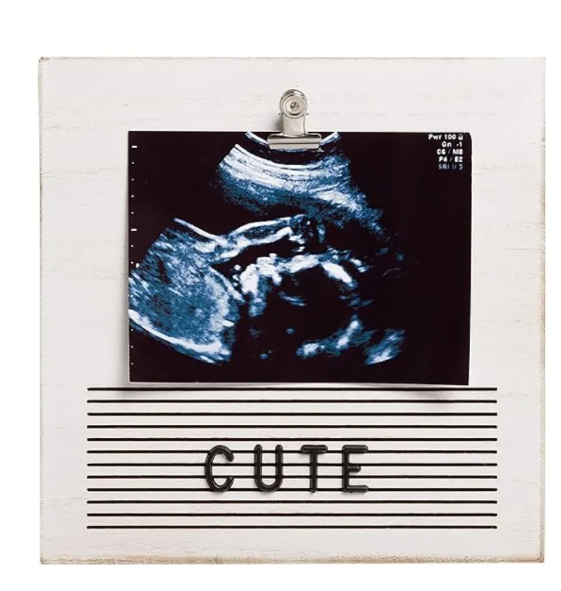 Letterboard Set (6 Styles!)