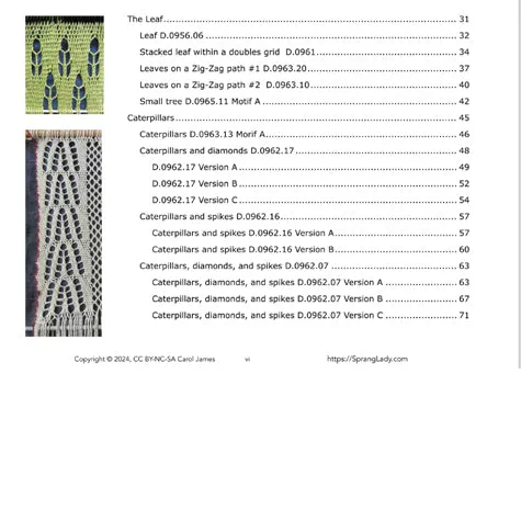 Mme. Lemye's Lace Sprang: Vol. 2
