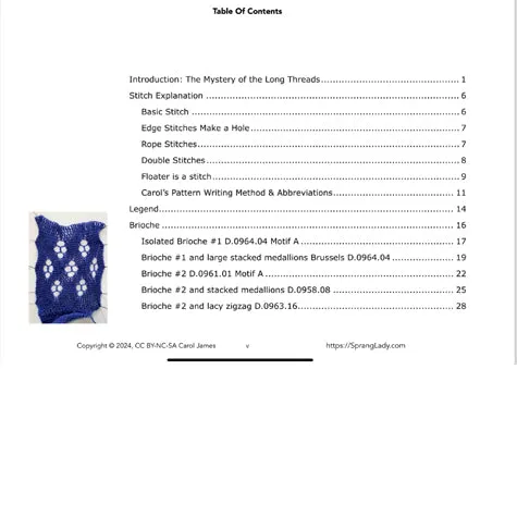 Mme. Lemye's Lace Sprang: Vol. 2