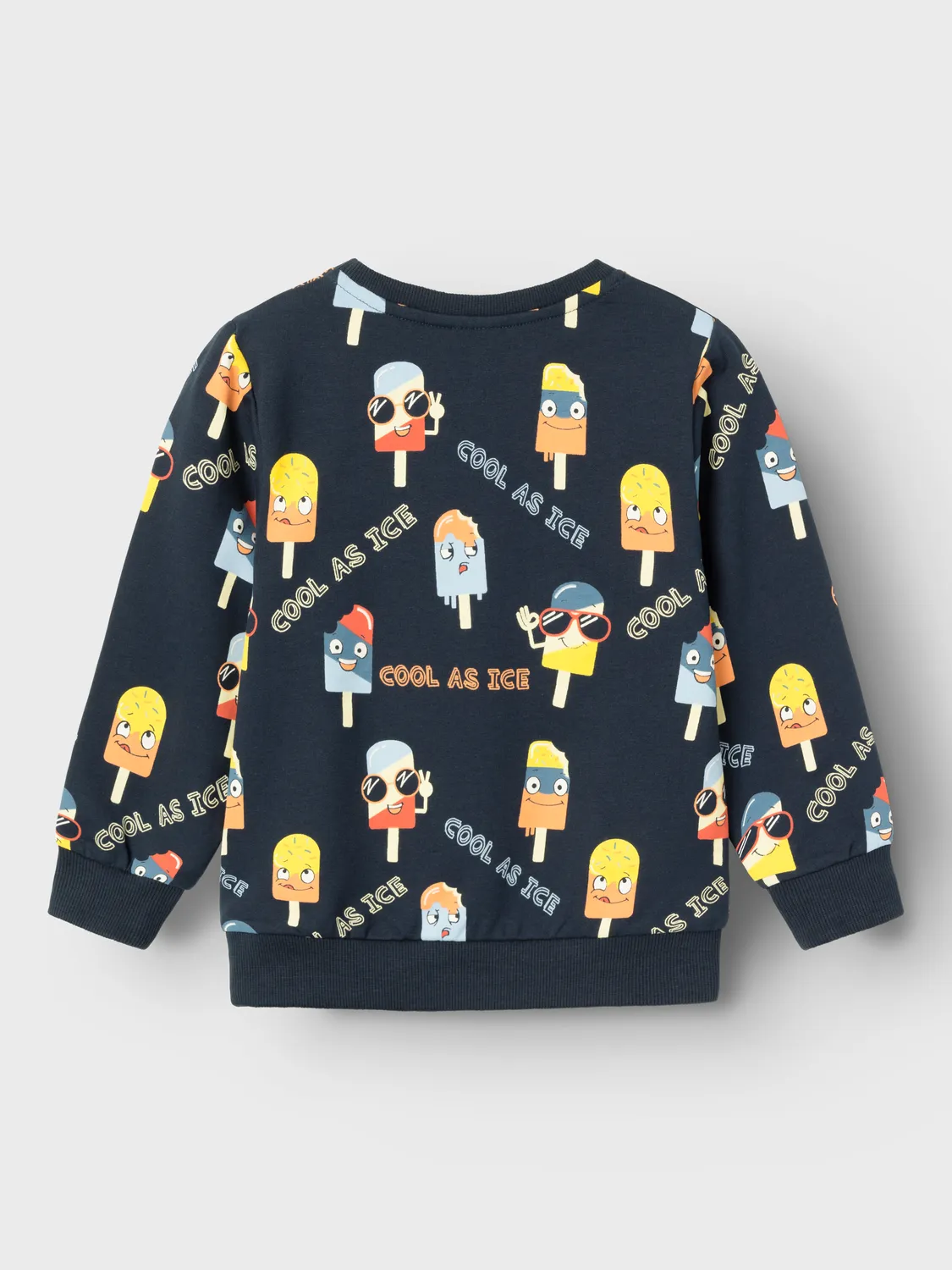 NAME IT | Mini Boy Cool as Ice Sweatshirt