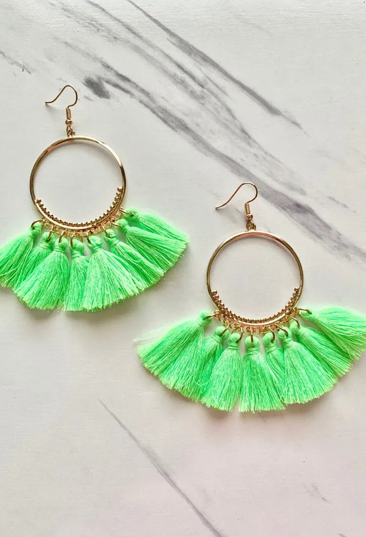 Tassel Drop Earrings
